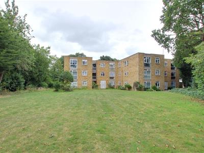Picture 7